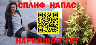 СК Донской