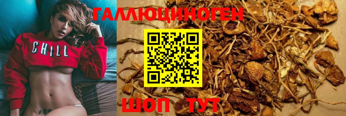 Псилоцибиновые грибы Cubensis Магнитогорск